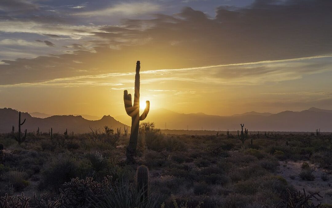 Duration of heat waves accelerating faster than global warming